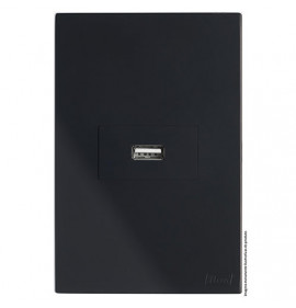 Conjunto USB 2.0A Horizontal 4x2 - RECTA Grafite Satin Fosco